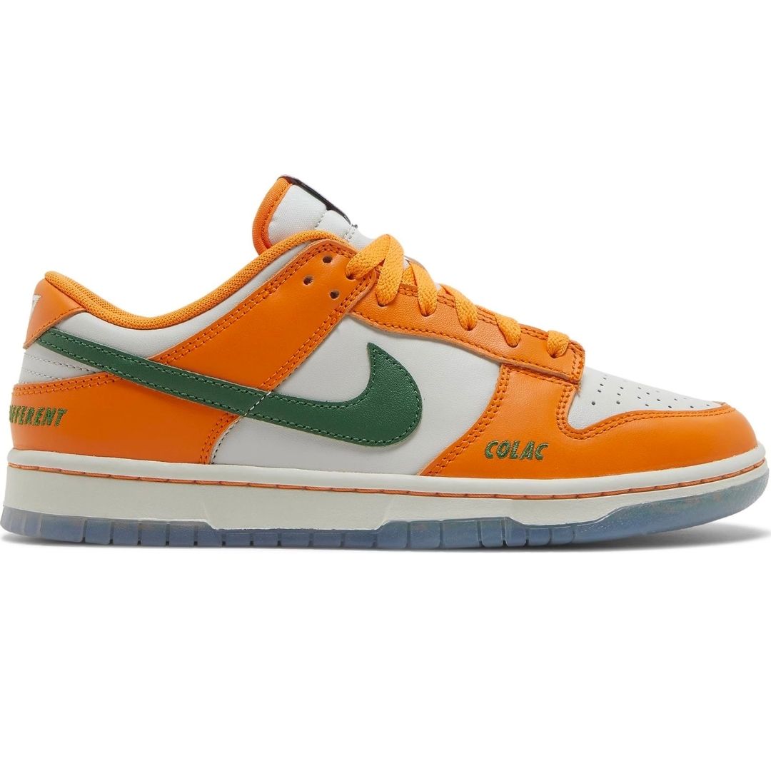 Nike Dunk FAMU – Clout of the South